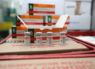 Paraná recebe novo lote com 258,4 mil doses de vacinas contra Covid-19