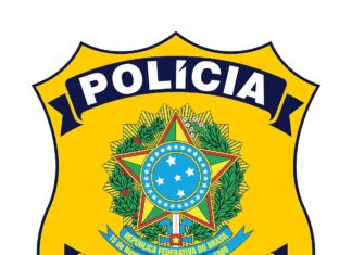 Falsos mecânicos são presos após roubar carga e sequestrar caminhoneiro no interior do Paraná.