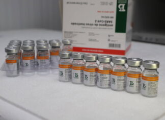 Paraná recebe novas doses da Coronavac e inicia logística para distribuir 367 mil vacinas.