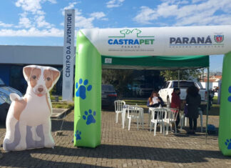 Itaperuçu recebe programa de castração gratuita de cães e gatos a partir desta terça