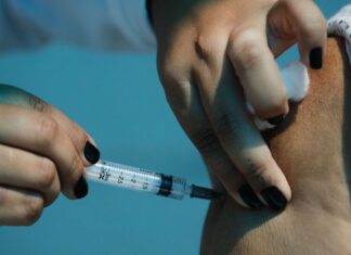 Brasil tem 22,21% da população vacinada com a primeira dose contra a Covid-19