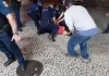 Vereador Renato Freitas é preso pela Guarda Municipal acusado de agressão em Curitiba; vídeo.