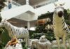 Shopping Palladium de Ponta Grossa promove Aventura na Floresta com animais animatrônicos em tamanho real