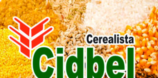 COMÉRCIO DE CEREAIS SE DESTACA NA CIDADE DE CAMBIRA – PARANÁ