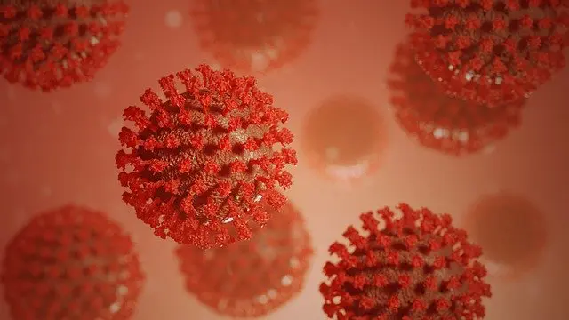 Coronavirus-1-Pixabay