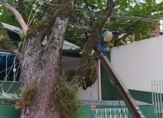 PR: Copel registra queda de 122 postes de energia nas regiões norte e noroeste