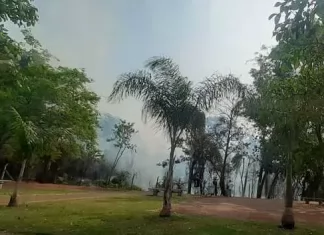 Incêndio atinge reserva florestal do Parque das Palmeiras em Maringá