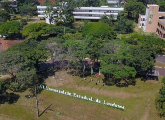 Universidade Estadual de Londrina abre processo seletivo para contratação de professores temporários