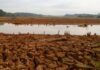 Sanepar divulga tabela de rodízio em Curitiba e RMC até 15 de setembro
