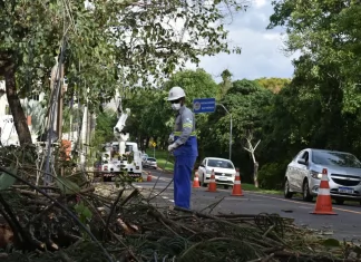 Temporal derruba pelo menos 200 árvores e deixa milhares de imóveis sem luz e água, em Maringá