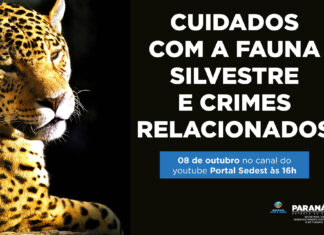 IAT promove lives para debater proteção aos animais domésticos e silvestres