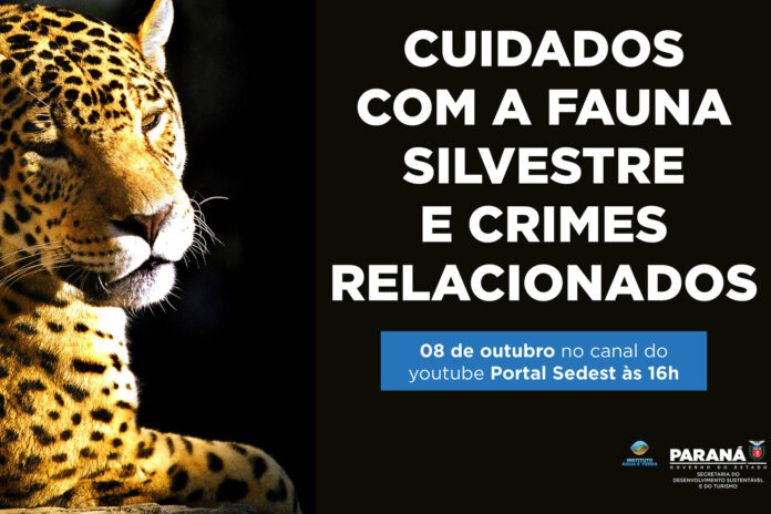 news_interna_fauna_silvestre_1