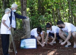 São Pedro do Ivaí faz homenagem às vítimas da Covid-19 – TNOnline