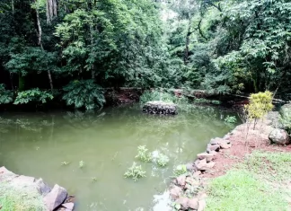 Parque do Ingá: Prefeitura, Universidade Estadual de Maringá e Fadec se unem para resolver problema hídrico