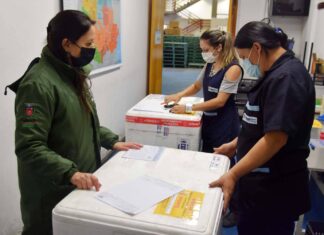 Regional de Saúde de Maringá recebe mais de 55 mil doses de vacinas contra a covid-19