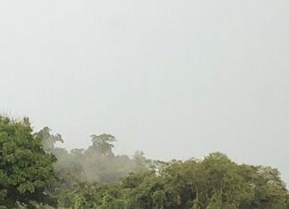 Grave acidente na PR-444 bloqueia trânsito e deixa feridos