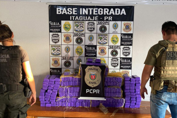 PCPR apreende 145 quilos de maconha e prende homem em Santo Inácio -