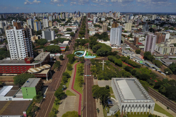 Cascavel. 2019. Foto: José Fernando Ogura/AEN