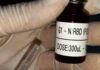 Covid-19: vacina brasileira mira variantes e facilidades logísticas