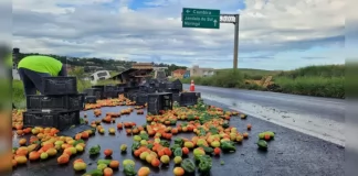 Caminhão carregado com tomates tomba na BR-376, em Cambira