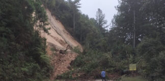 Caminhão carregado com soja é roubado na BR-376, em Cambira