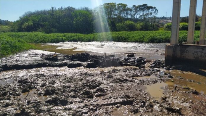 segundo-lago-de-olarias-880x495