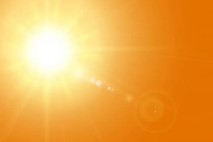 calorfreepik-1024x682.jpg