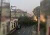 Temporal derruba árvores no Centro de Ponta Grossa