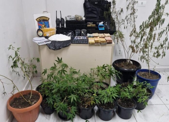 maconha-pm-paranagua-e1701890399528