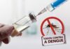 Luiene Gallo faz um alerta – Todos contra a Dengue