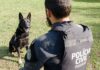 Polícia Civil do Paraná promoverá ações em alusão ao Junho Branco