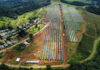 Nova usina solar da Copel entra em operação em Reserva do Iguaçu