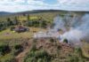 Livre do pinus: IAT finaliza etapa de junho com a limpeza 11,2 hectares em Vila Velha