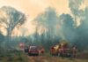 Corpo de Bombeiros do Paraná já atendeu mais de 9,3 mil incêndios florestais em 2024