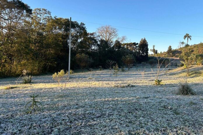 whatsapp_image_2024-08-13_at_15.34.37_2