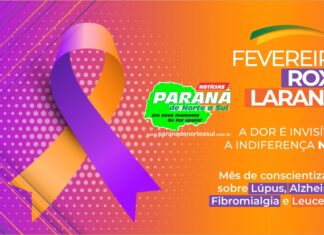 Fevereiro roxo e laranja: significado e como planejar as campanhas