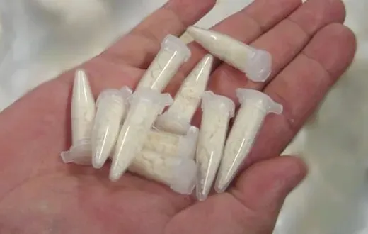 PM apreende maconha e cocaína na Vila Regina em Apucarana