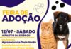 Feira de Adoção
