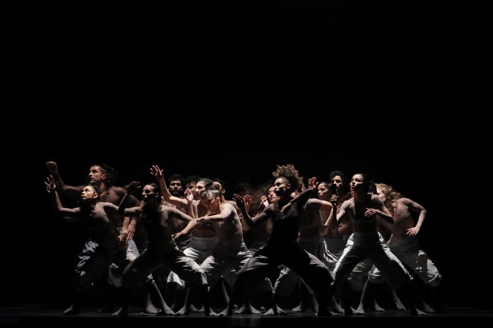 ft_fabio_alcover_festival_de_danca_de_londrina_0813