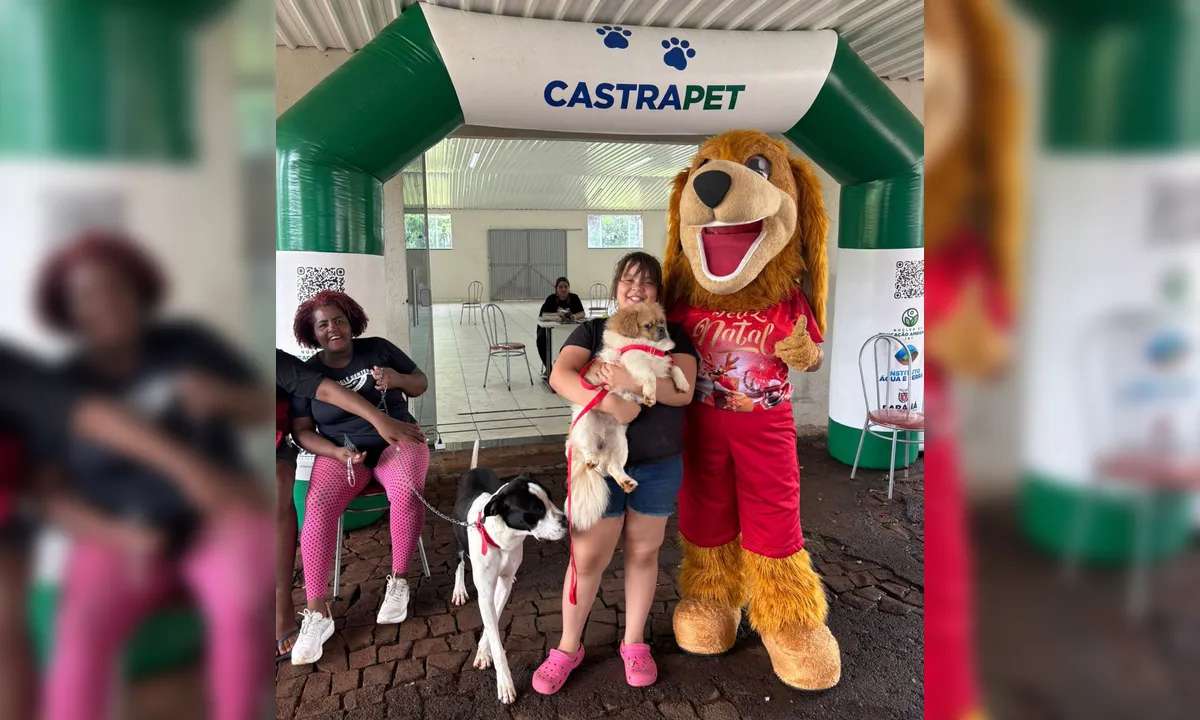 Jandaia do Sul conclui etapa do Castrapet com 278 animais esterilizado
