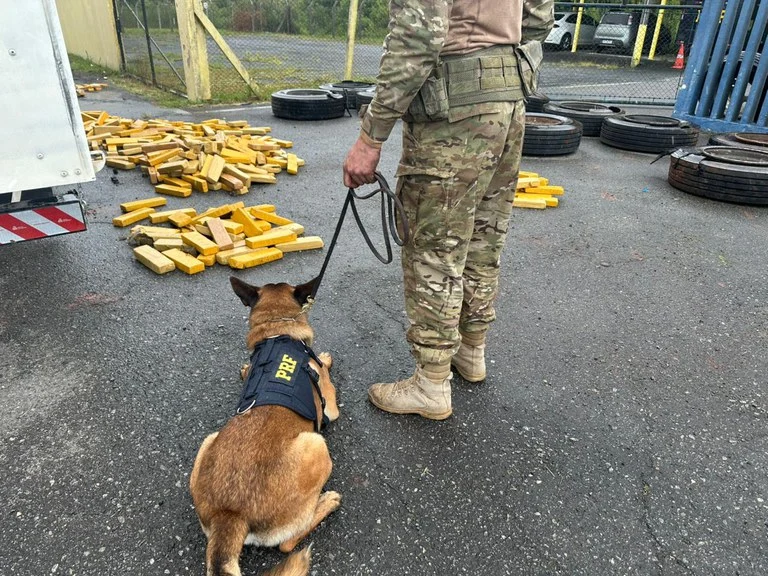 PRF encontra maconha escondida em “ponto secreto” de caminhão na Grande Curitiba
