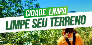 Prefeitura orienta: proprietários têm 15 dias para limpar terrenos e calçadas em Jandaia do Sul