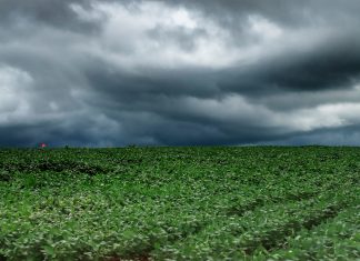 Tempestades atingem Campos Gerais e Norte do Paraná e seguem em direção ao Leste