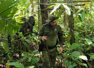 Operação ambiental da PMPR no Superagui destrói estruturas ilegais na APA de Guaraqueçaba