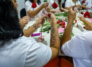 Mulheres privadas de liberdade preparam rosas que serão entregues no Dia da Mulher