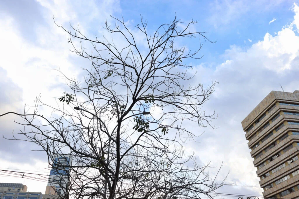 Outono 2026 será mais quente e mais chuvoso que o normal no Paraná