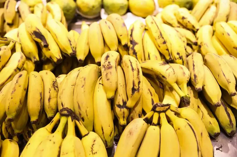 Preço das frutas mais consumidas registra queda nas Ceasas