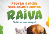 JANDAIA DO SUL REALIZA VACINAÇÃO ANTIRRÁBICA GRATUITA NESTA SEXTA-FEIRA