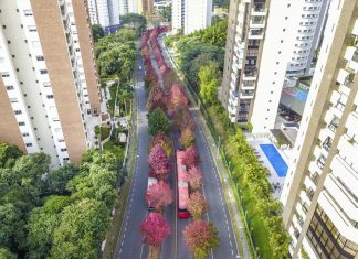 Outono chega de vez ao Paraná e municípios têm a manhã mais gelada do ano; mas vem mais frio