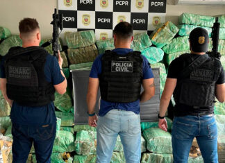 Polícia Civil do Paraná apreende 2,3 toneladas de maconha durante abordagem em Palmas
